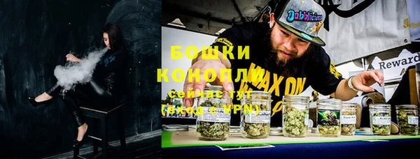 ГАЛЛЮЦИНОГЕННЫЕ ГРИБЫ Аркадак