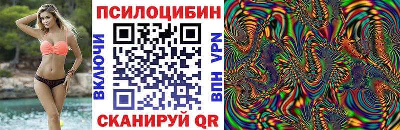 Псилоцибиновые грибы Psilocybe  Ахтубинск 